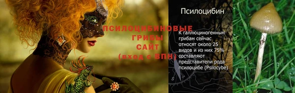 марки nbome Ростов
