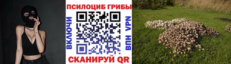 Псилоцибиновые грибы Psilocybine cubensis  Яблоновский 